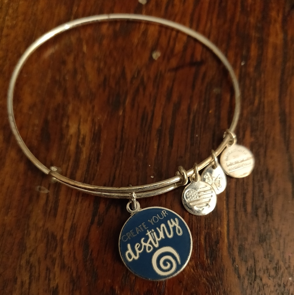 Alex and ani bangle